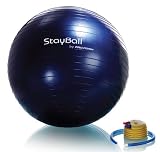 ProForm 65 cm Anti-Burst Stability Ball