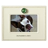 Grasslands Road My Crazy Life Ceramic Glaze Frame White My Grandchild is a DOG, Holds a 4 by 6-Inch Photo