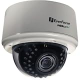 EverFocus EDH5240 Surveillance/Network Camera - Color