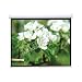 PCW92MM 92" Projector Screen 16:9 Widescreen Matte White Manual