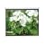 PCW92MM 92" Projector Screen 16:9 Widescreen Matte White Manual