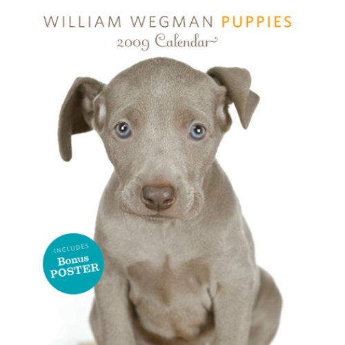 William Wegman Puppies 2009 Calendar