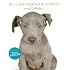 William Wegman Puppies 2009 Wall Calendar: (with poster)