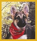 German Shepherd Puppy w/Bandana Bookmark