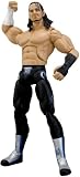 Catch Wwe Figurine Matt Hardy Deluxe Serie 24 Jakks
