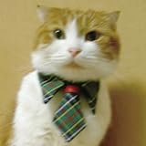 キャットプリン オリバーくんのネクタイシャツ♪ グリーン