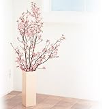 ����g���10�{�v�y���������z