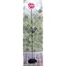 Einparkhilfe Stoppschild R�ckfahrwarner Parksensor LED