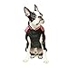 Gooby - Wind Parka, Fleece Lined Small Dog Jacket Coat Sweater with Water Resistant Shell and Leash Ring, Pink, Large