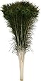 OrangeTag Natural Peacock Feathers 30-35 inches Long (20 pcs per bundle)