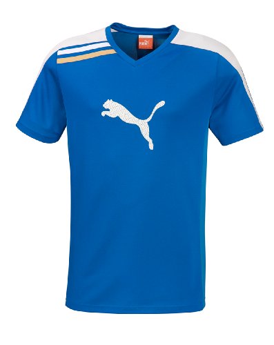 PUMA Herren Shirt Esito Training Tee, puma royal-white, L, 652597 02 Preisvergleich