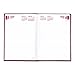Brownline 2015 Daily Journal, Untimed, Hard Cover, Bright Red, 8.25 x 5.75 Inches (CB389.RED-15)