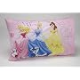 Disney Princess Castle Dreams 2-Piece Sheet Set