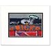 New York Jets/Yankees/Knicks/Rangers 11x14 Matted Photograph