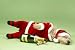Small Dog in Santa Costume Lying down with Champagne Bottle - 48