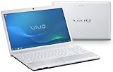 Sony VAIO