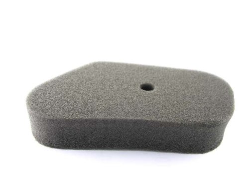 Honda Genuine 17211-ZG1-700 Air Filter