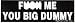 All Products : FUCK ME YOU BIG DUMMY decal bumper sticker