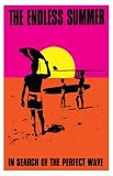 Endless Summer Poster ~ Iconic 1960's Surfer Movie by Bruce Brown ~ 11x17