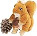 Chatterer the Red Squirrel
