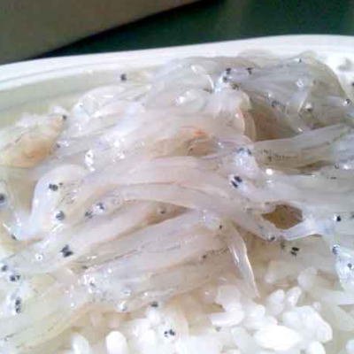 SHUEI 瀬戸内海産 お刺身生しらす 200g(100ｇx2)