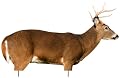 Extreme Dimensions HD Series Phantom Buck Decoy