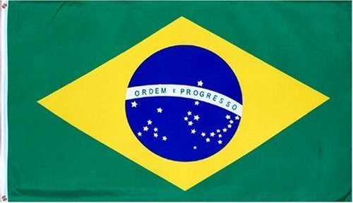 Brazil Flag 3x5 ft Printed Polyester Banner by Briar Flags