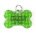 Dynotag Web Enabled Super Pet ID Smart Tag with DynoIQ & Lifetime Recovery Service. PLAY Series: Bone (Green Classic)