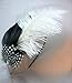 NEW Large Black and White Ostrich Feather Fascinator Headband, Limited.