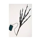 Brown 17 inch Branch with 20 White LED Lights - Battery Operated