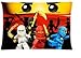 1 X Ninjago Pillowcases Custom 20