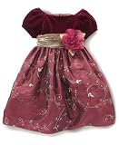 Sweet Heart Rose Baby Girl Belted Sash Dress