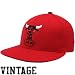 Chicago Bulls - Fitted Hat By Mitch and Ness