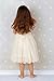 Bow Dream Flower Girl's Dress Lace Ivory