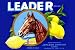 Leader Lemons - 12x18 Gallery Wrapped Canvas Print