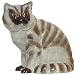 Ceramic Pottery British Short Hair Cat Bank Approx. 7.5"H
