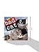 Bad Cat Mini Wall Calendar 2016