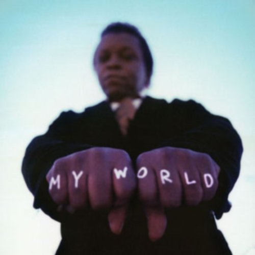 Album Art for My World by Lee Fields & The Expressions