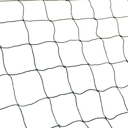 Bird Netting 25' X 50' Net Netting for Bird Poultry Avaiary Game Pens