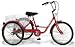 Dreirad 24 Zoll Fahrrad Behindertenfahrrad Therapierad mit Shimano Nexus 3-Gang Schaltung