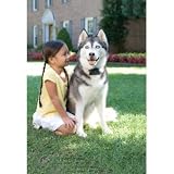 Innotek PIG00-10777 In-Ground Stubborn Dog Fence