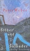Silber und Salbader : Roman