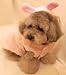 Pink Bunny Dog Suit XS (X-Small) for Pets & Dogs FREE SHIPPING USA