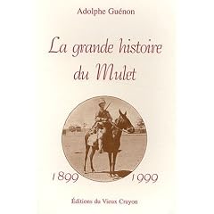 La grande histoire du mulet: Le mulet intime