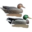 GHG Over Size Mallard Duck Decoys