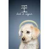 Oops, I Did It Again Sympathy Greeting Cards Little Gifts Inc