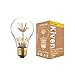 Kiven Vintage Antique Bulbs 2w Decorative E26 110v Antique Led Light Bulb for Pendant Light (Package:1 Pcs)