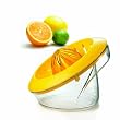 Cuisipro Citrus Juicer