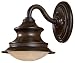 Vanira Place ENERGY STAR  11 High Outdoor Wall Light