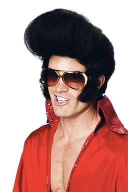 Rock Legend wig, One Size fits Most